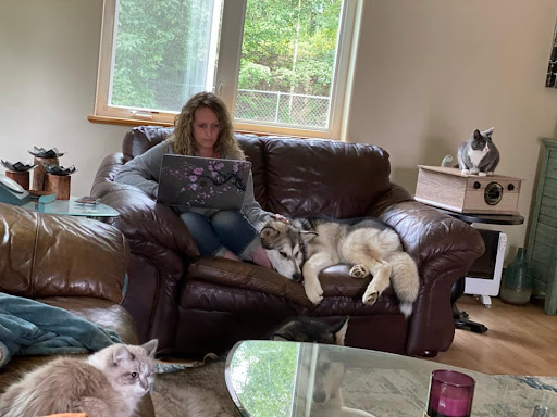 Jenn working from home surrounded by her cats and dogs