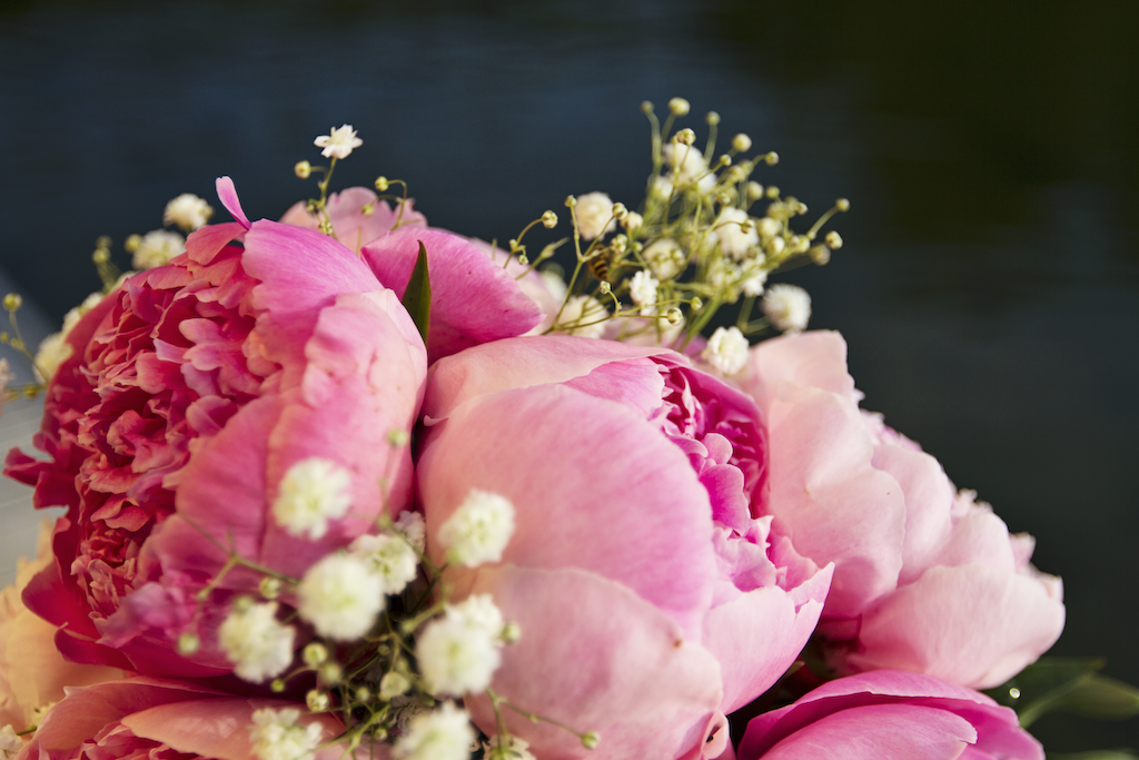 A bouquet of pink peonies